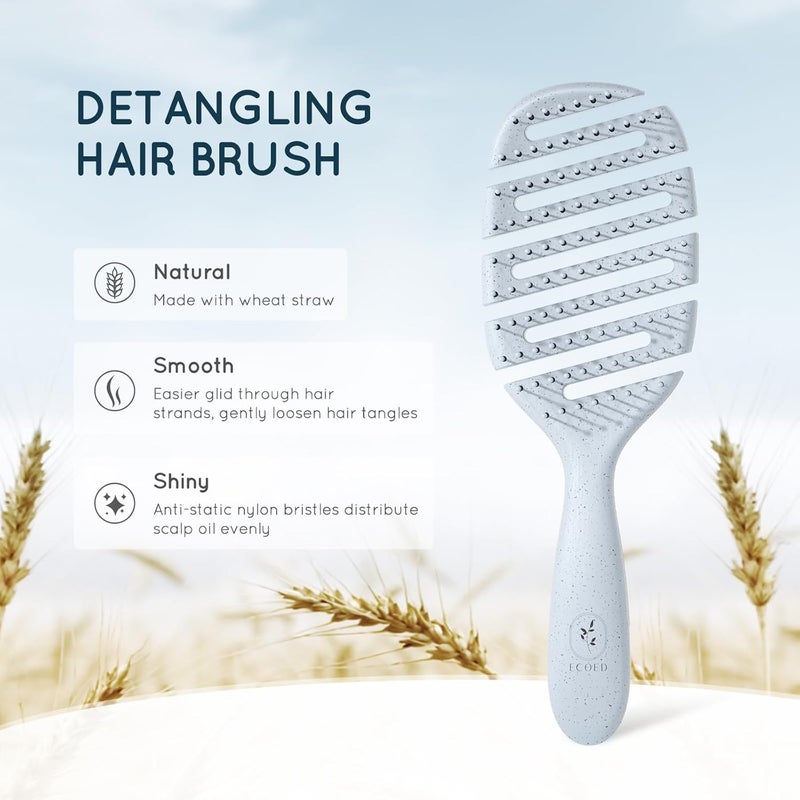 ecoed Hair brush, Vented Detangling Brush, Quickly Detangles and Smooths hair for Curly, Thick, and Straight Hair, Hair Brush for Women and Men, Blue, Eco Friendly, Sustainable Material - Image 2